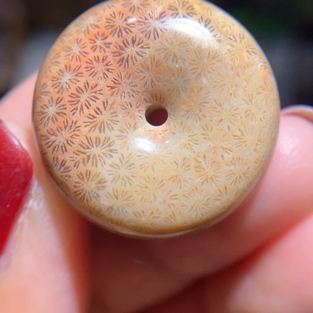 【闪购商品】硅化玉颈饰未镶嵌