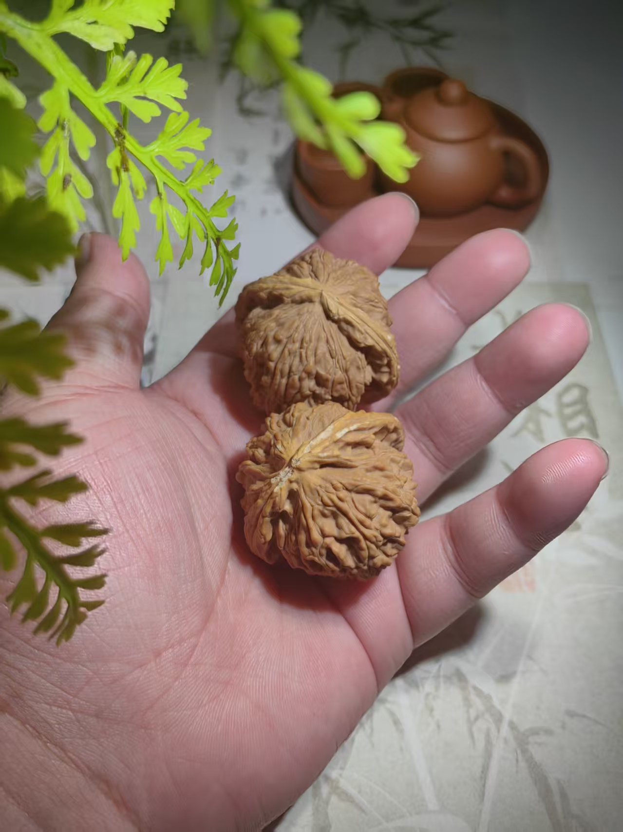 白核桃（一对）（无礼盒）473