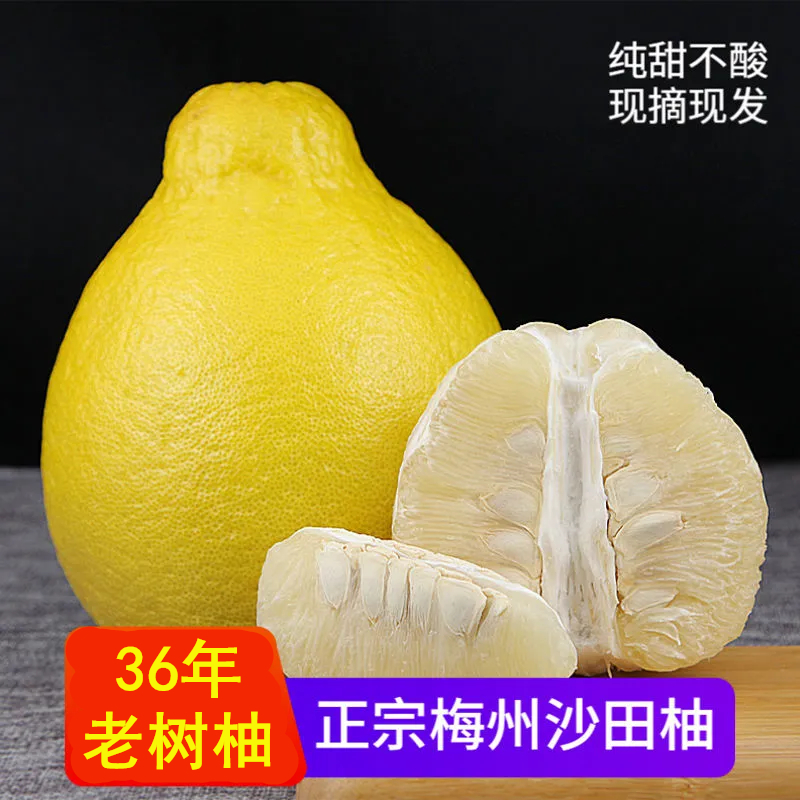 【产地直发】正宗梅州沙田柚纯甜无酸长寿金柚冰糖柚高山老树柚子