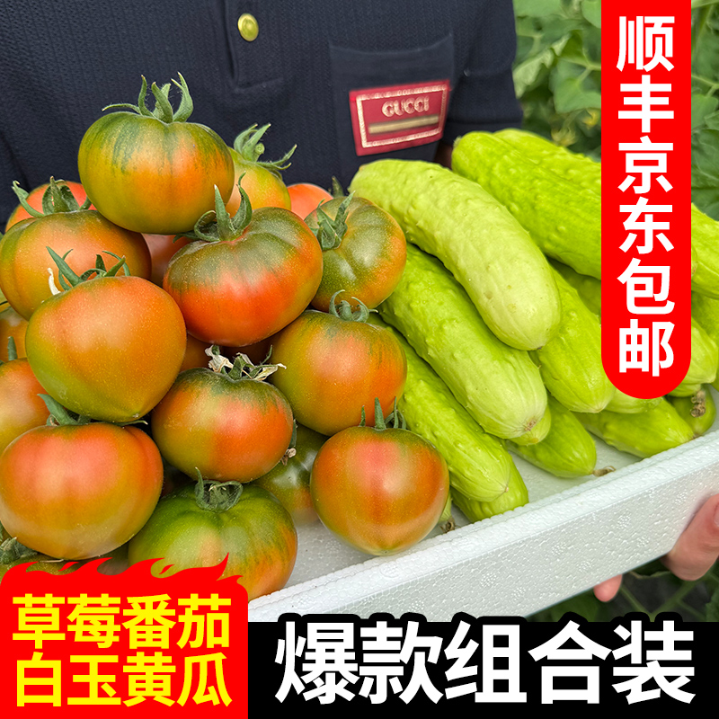 拼装白玉黄瓜生吃草莓番茄铁皮柿子组合装4.5斤自然生长新鲜水果