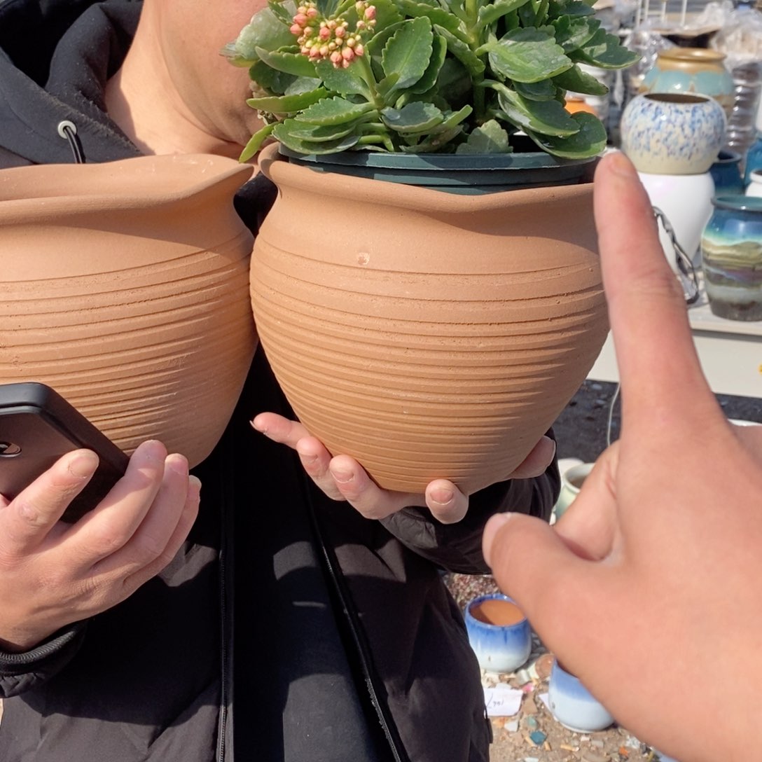 红陶彭于晏0206-1042