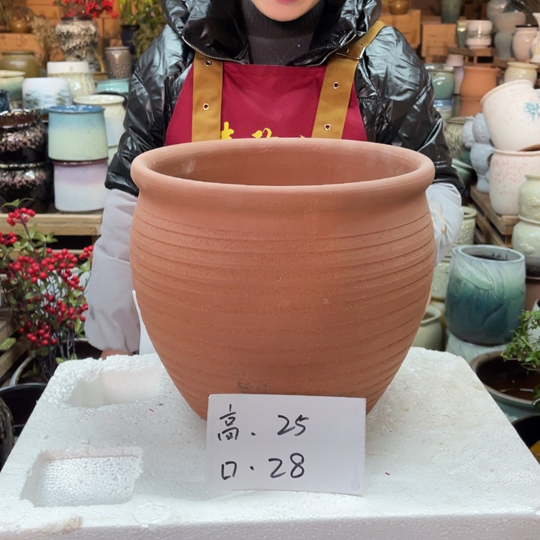 红陶高度25口径28