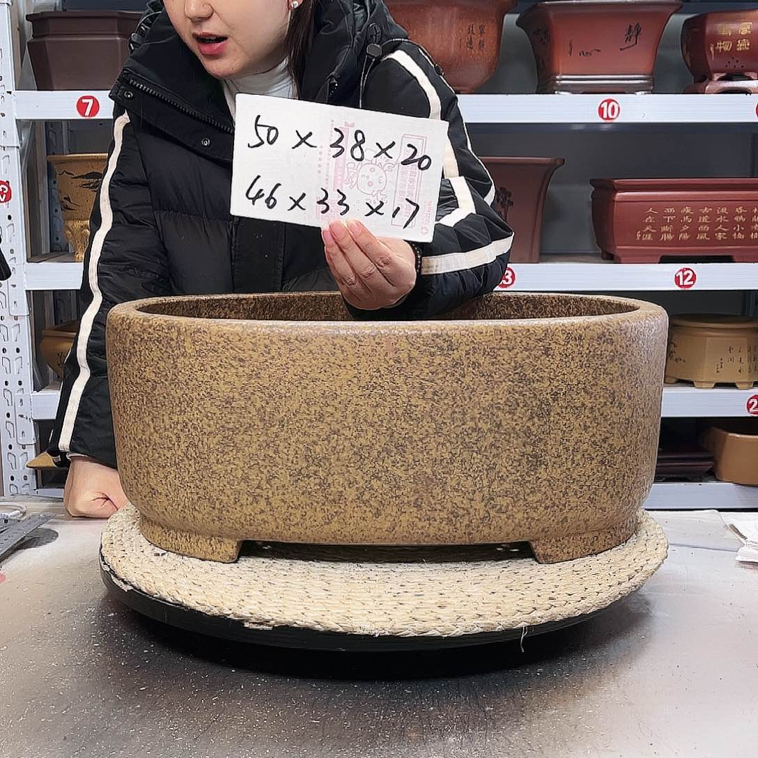 紫砂花盆紫砂花盆里