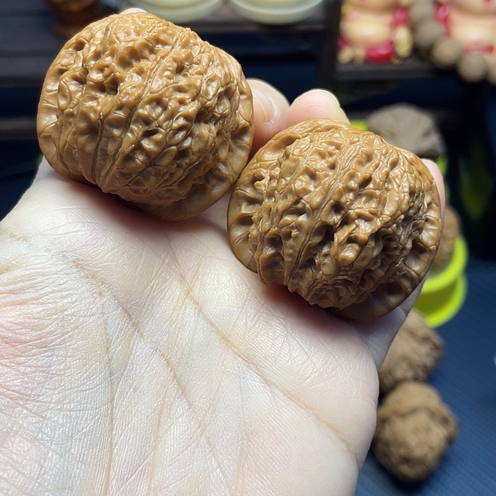 血麒麟4040。      