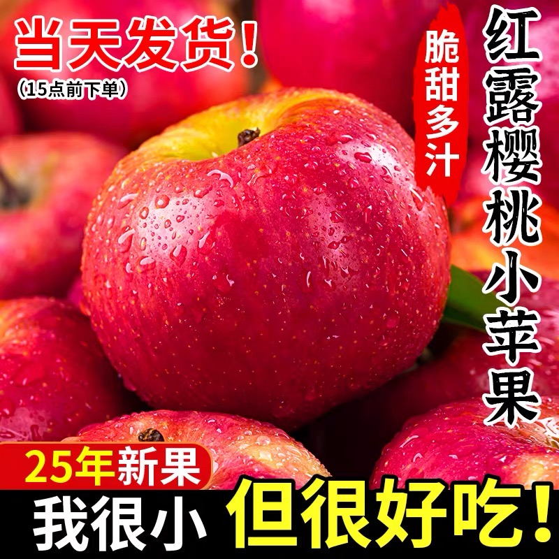 云南昭通高原丑苹果冰糖心红露苹果{现摘现发}
