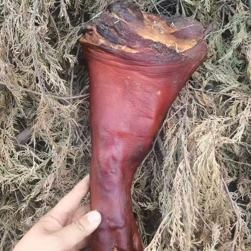【巴蜀风味】断骨烧皮重庆正宗川味猪脚腊味原木坑制猪脚红烧炖汤