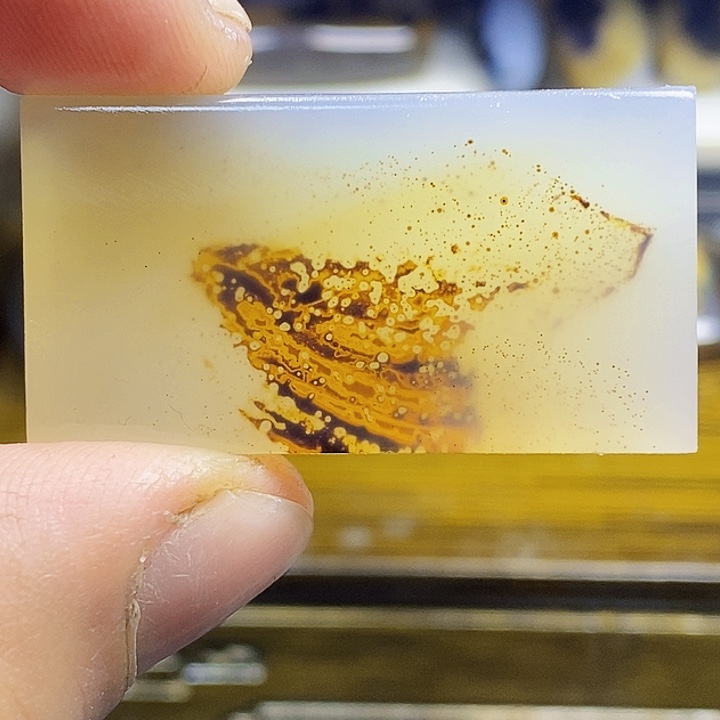 未镶嵌颈饰玛瑙/玉髓