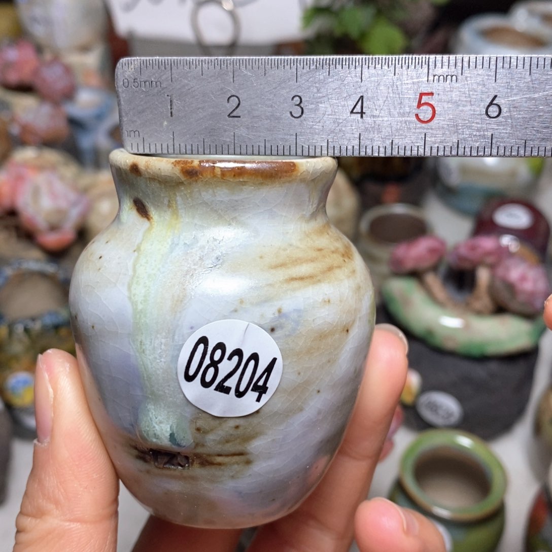 花盆拍5送一个小礼物