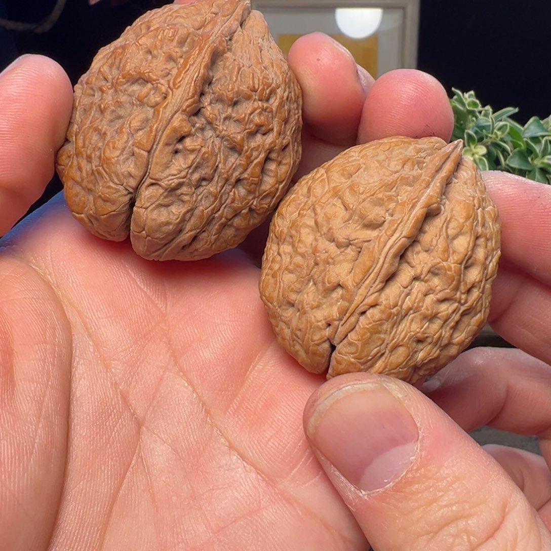 吊坠文玩核桃般若佛手39mm