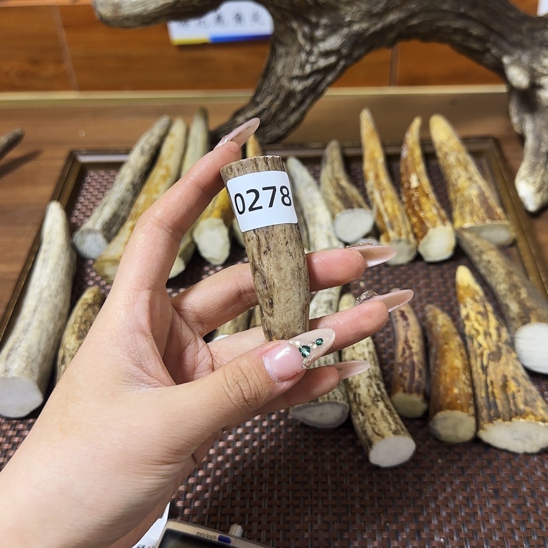 鹿骨手串/手链0278角尖