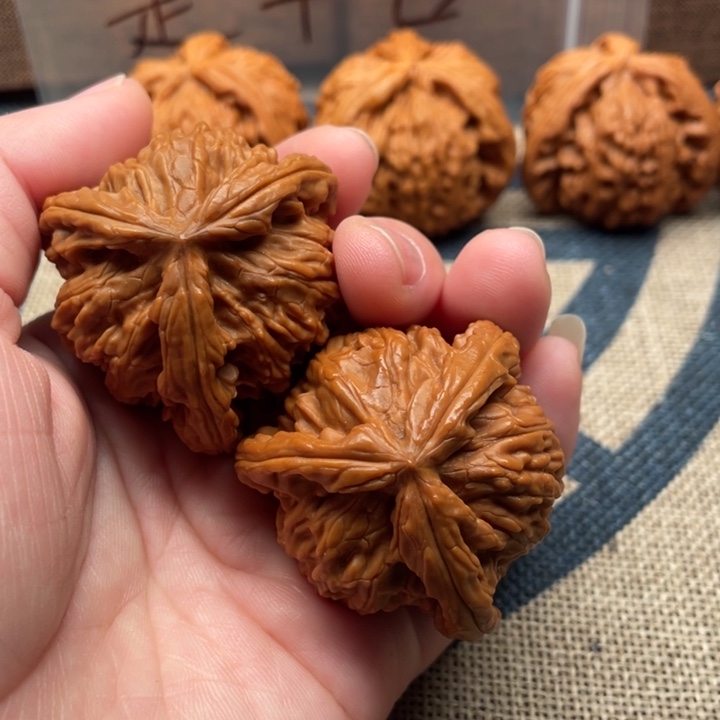 好***色核桃白狮子41核桃