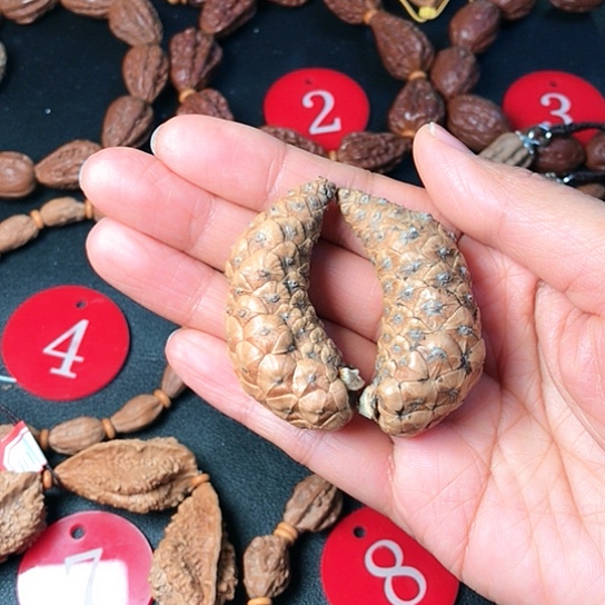 文玩核桃手串小雪11