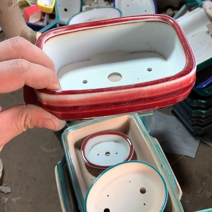 紫砂哈哈真的是太给力太