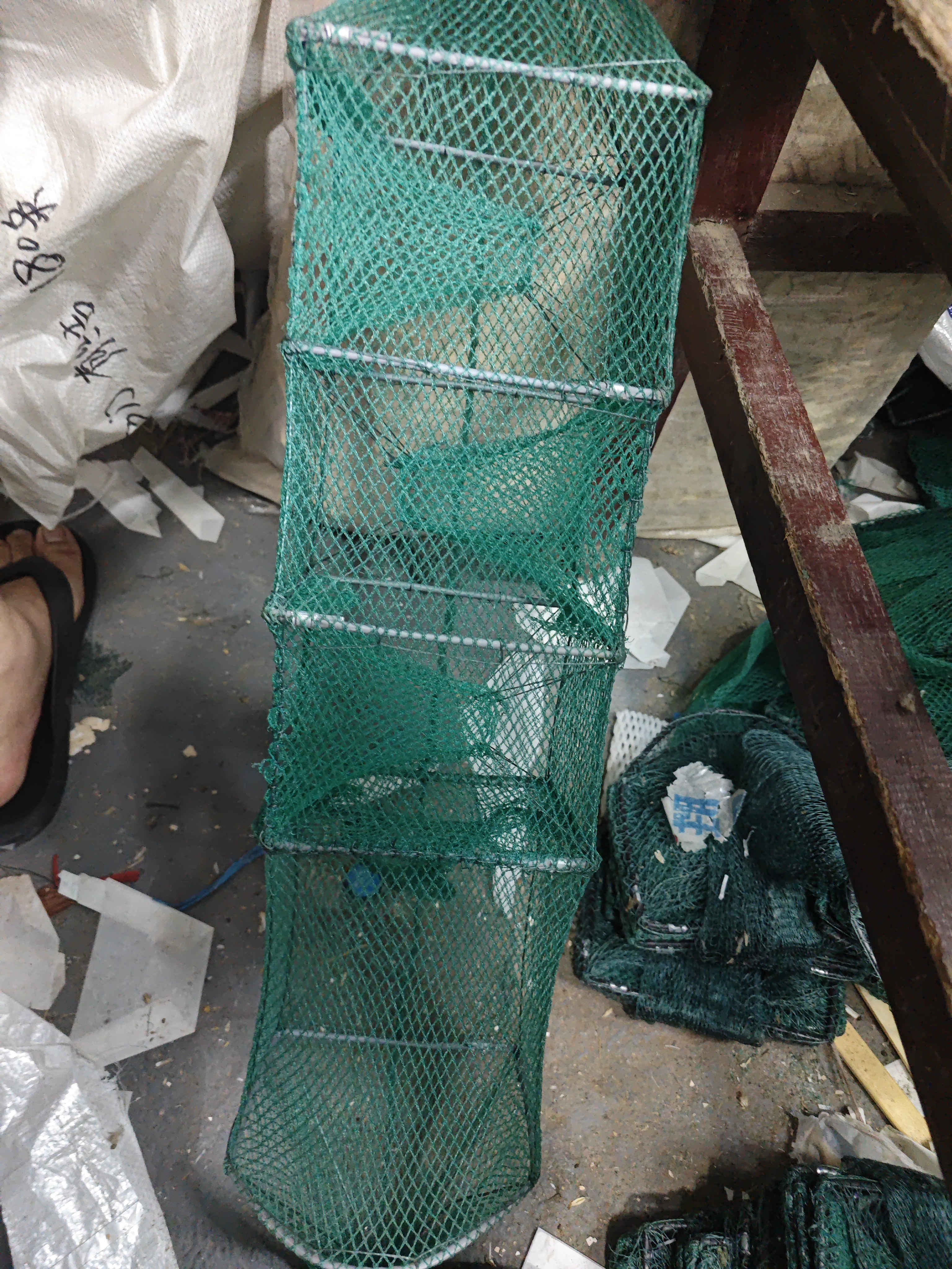 10条处理无节小三门送地插饵料球