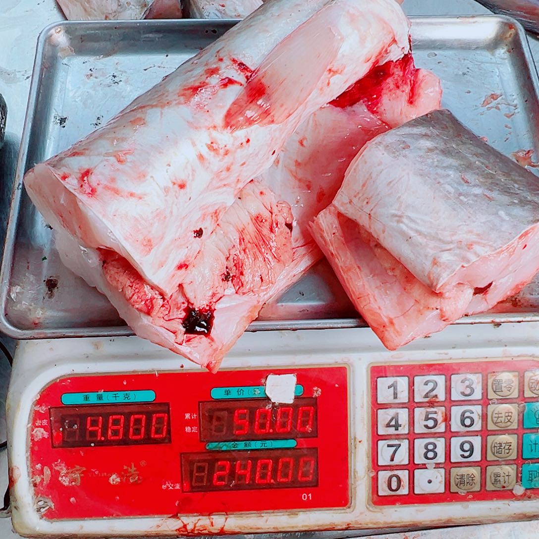 中国大陆野生鳗鱼肉
