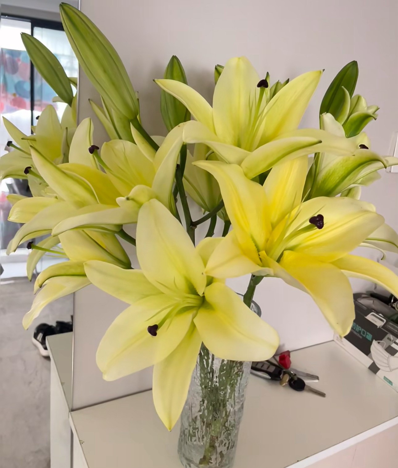 【黄天霸 香水百合】云南基地直发-两单升级顺丰冷链