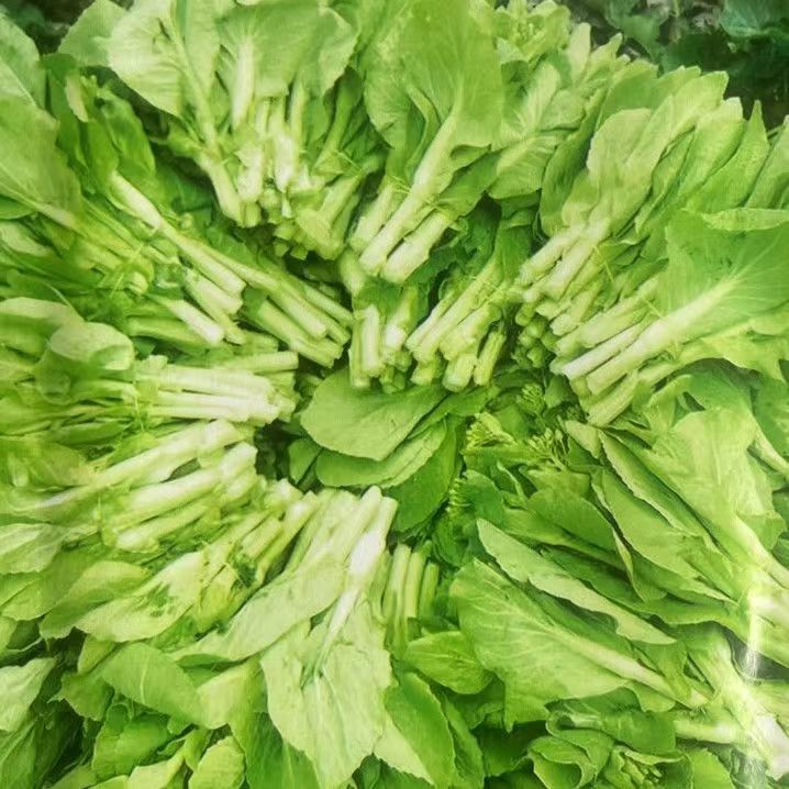 白菜苔新鲜白菜白菜心苔农家自种菜心露天种植当季时令蔬菜小白菜