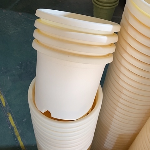 树脂四季3号10个无托米黄