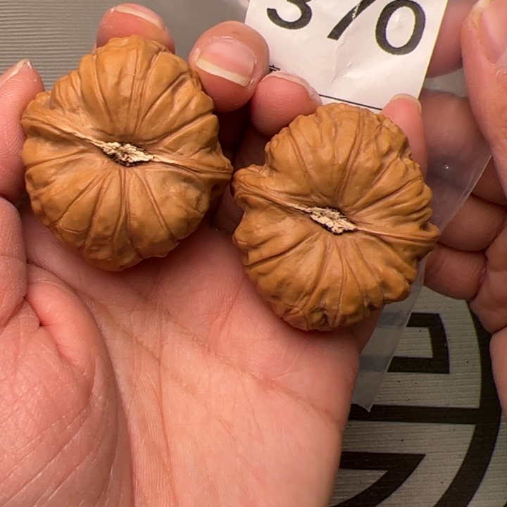 核桃边40肚43尺370号