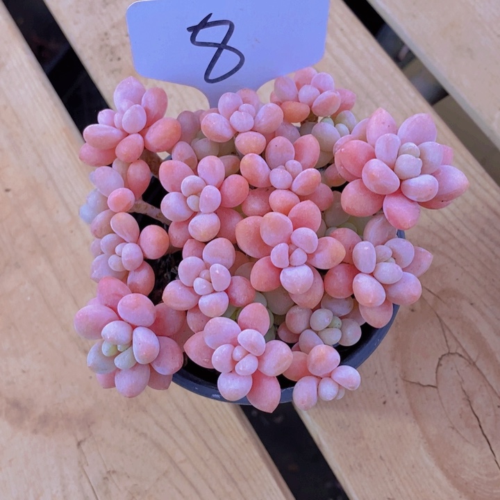 在家里面我一晚上