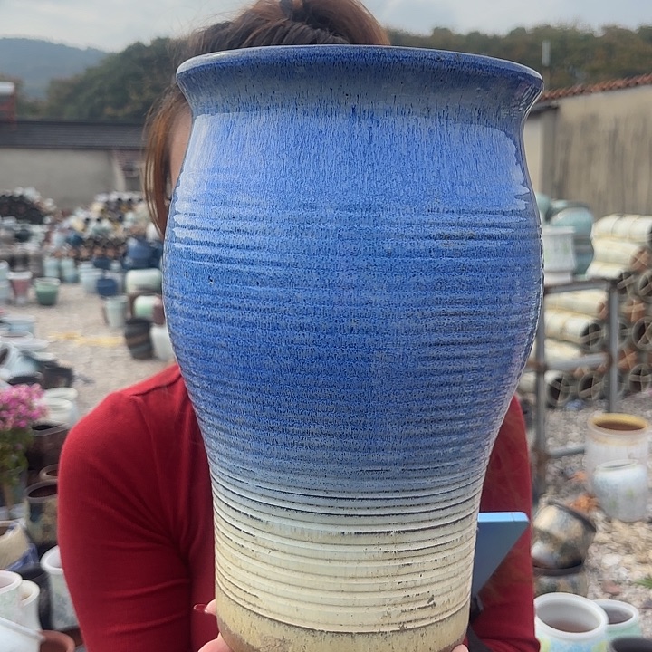 蓝白鱼尾一个19*32