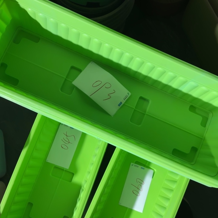 编号是093号的093号花盆