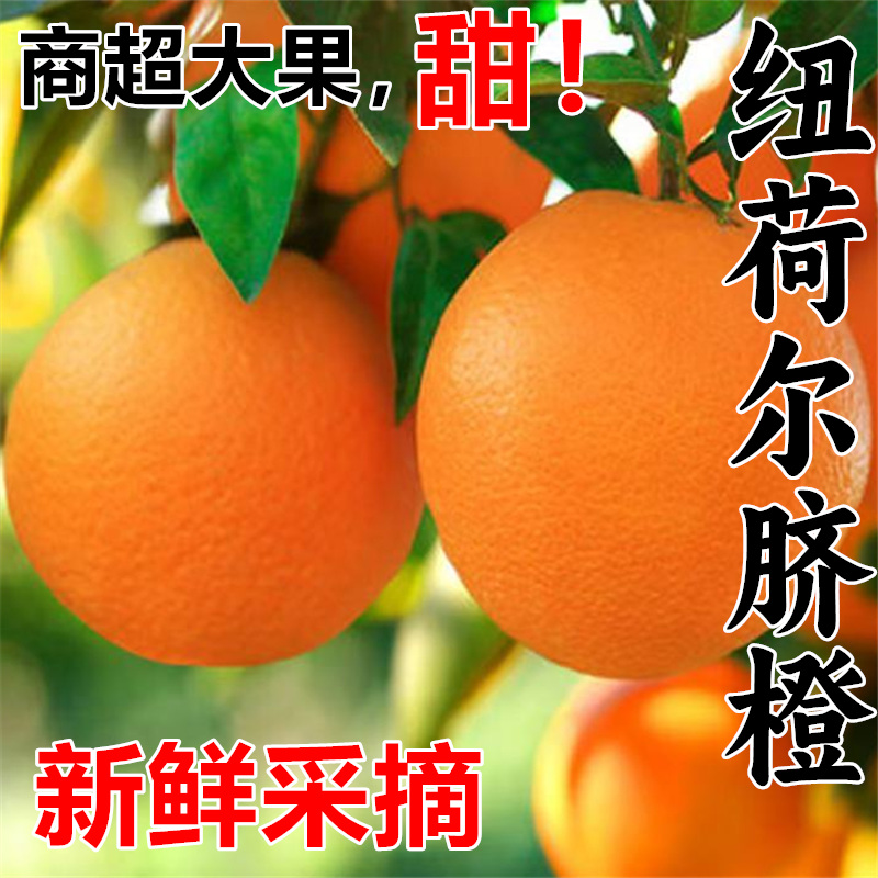 正宗新鲜纽荷尔脐橙橙子农家自种新鲜现摘水果皮薄多汁香甜可口