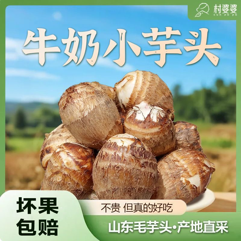 山东新鲜牛奶小芋头粉糯奶香甜味细腻嫩滑口感好