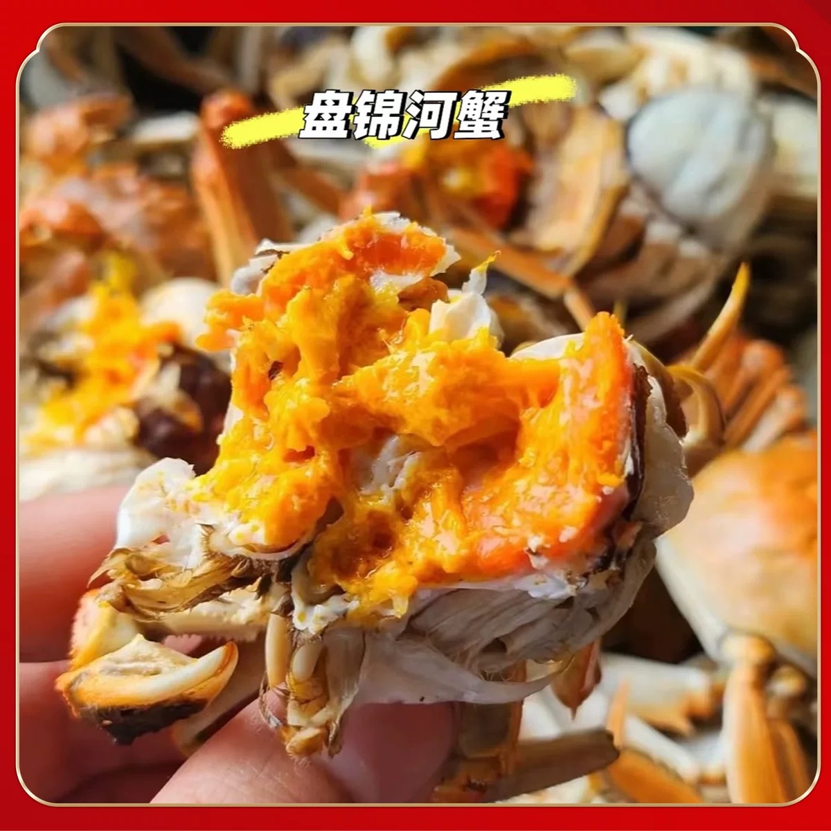 盘锦河蟹 母蟹 1.5-1.3两 3斤母+2斤公