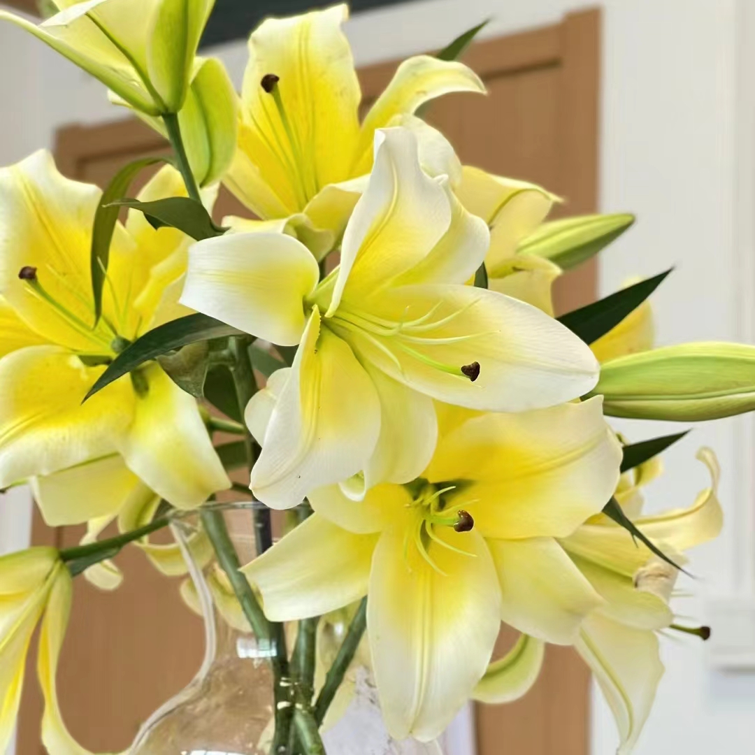 木门香水百合 收到先醒花 云南直发