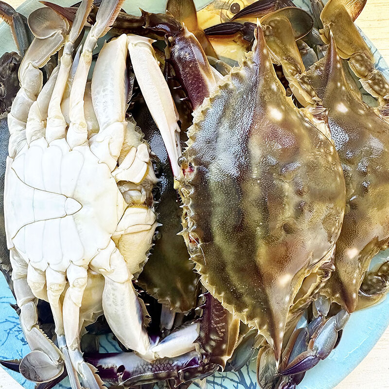 现场称重【缺氧蟹】莱州母蟹大小混搭 斤（单只3-5两）肥度9-10【保鲜不保活】部分掉腿介意慎拍