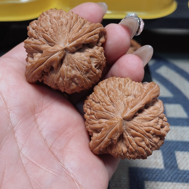 文玩核桃把件事**意白狮子43