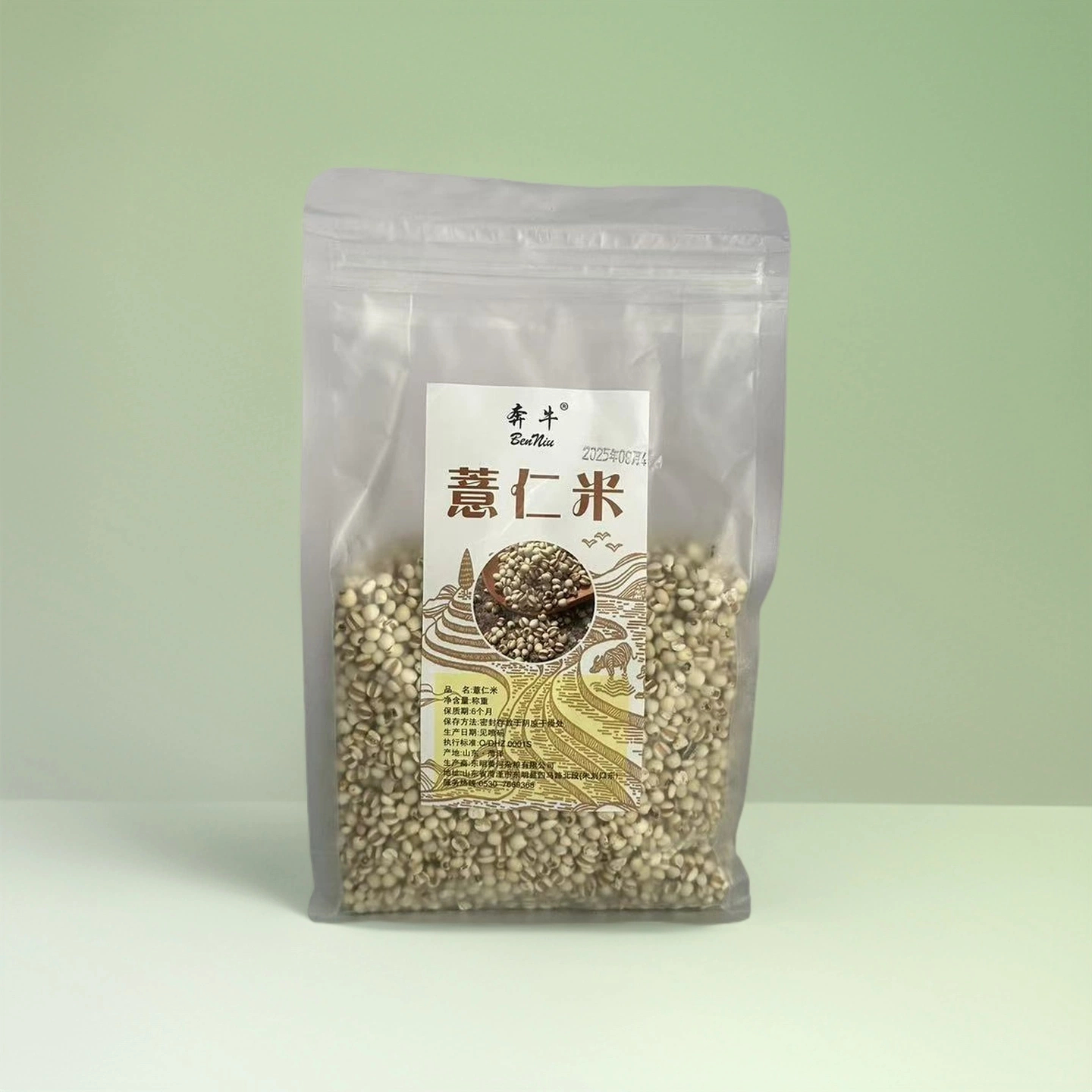 薏仁米新货可搭配赤小豆五谷杂粮适合煮粥泡茶