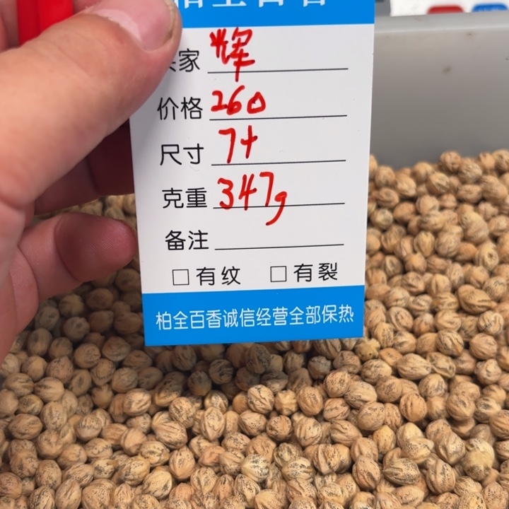 辉柏香籽散子 347 克散子