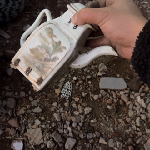 杂色豆（科檀/科特迪瓦檀木）迪****)