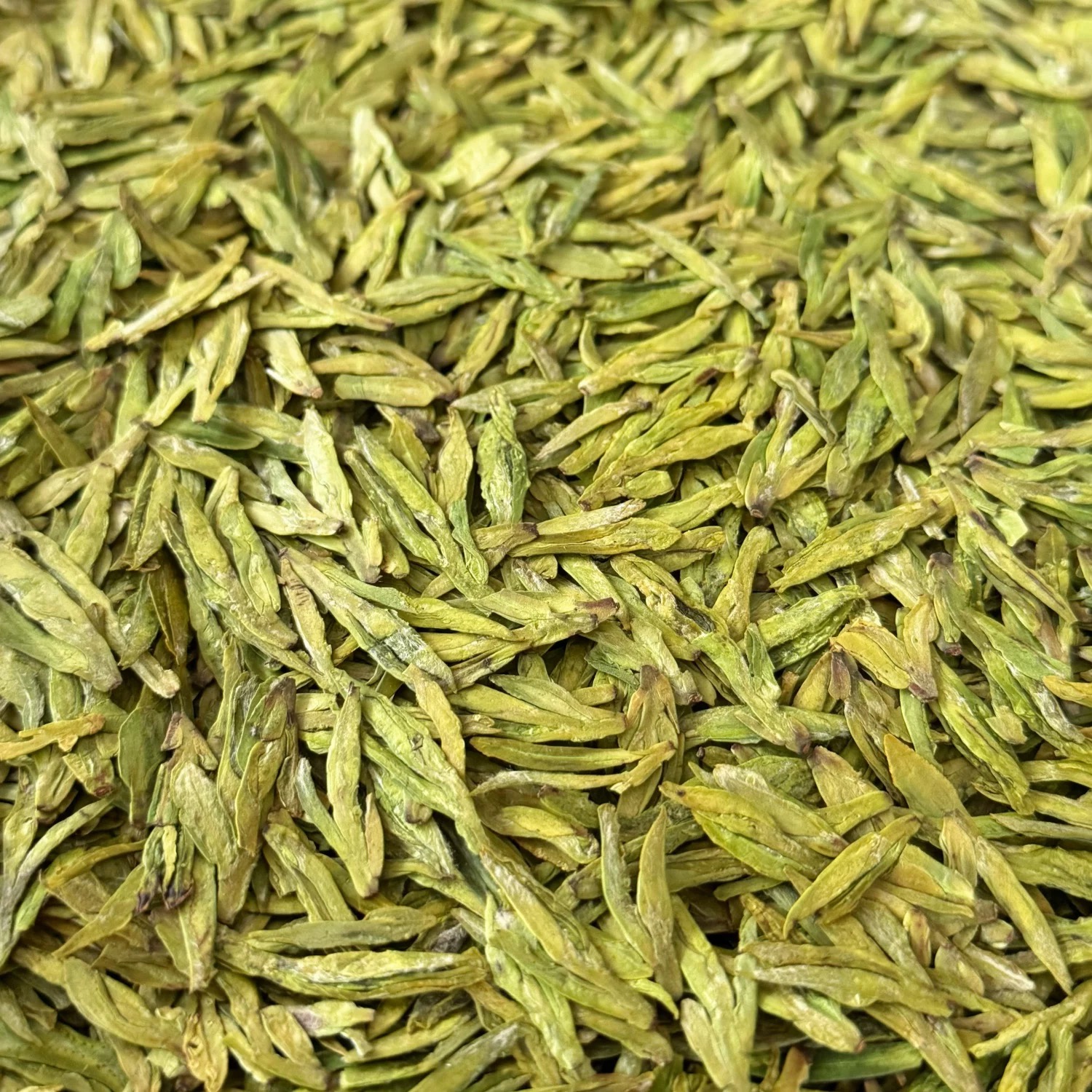 2025年明前新茶龙3高豆香板栗香浓香耐泡