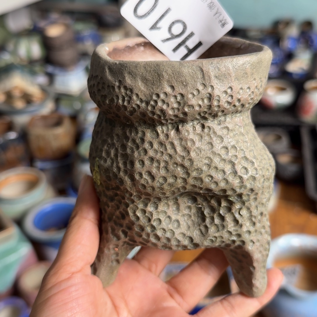 重庆一侧小燕子欢迎大家610