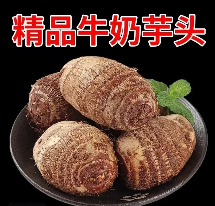 山东新鲜现挖牛奶小芋头香甜软糯应季农家蔬菜产地直发