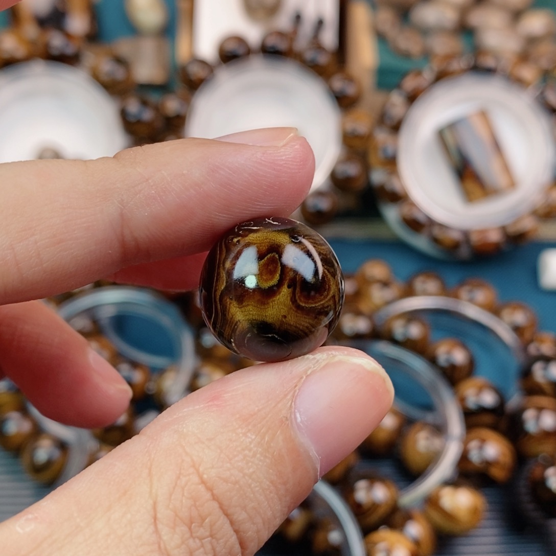 木纯天然海柳血柳1.8