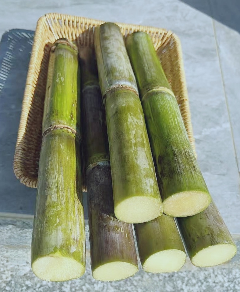 洞庭湖产地老品种甘蔗清甜多汁新鲜水果