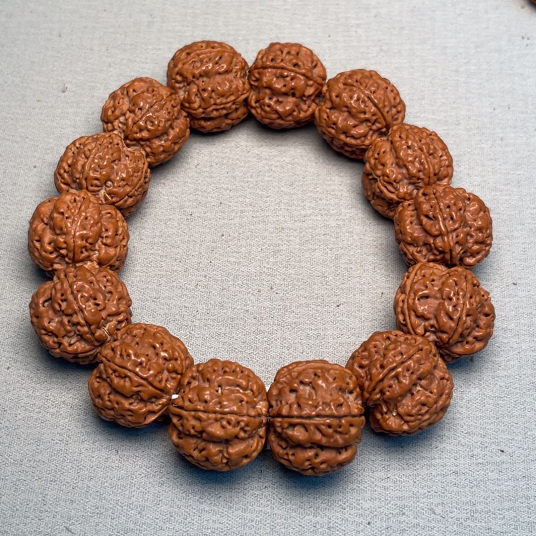 手串金刚菩提原生态五瓣巨肉泰坦23.5+