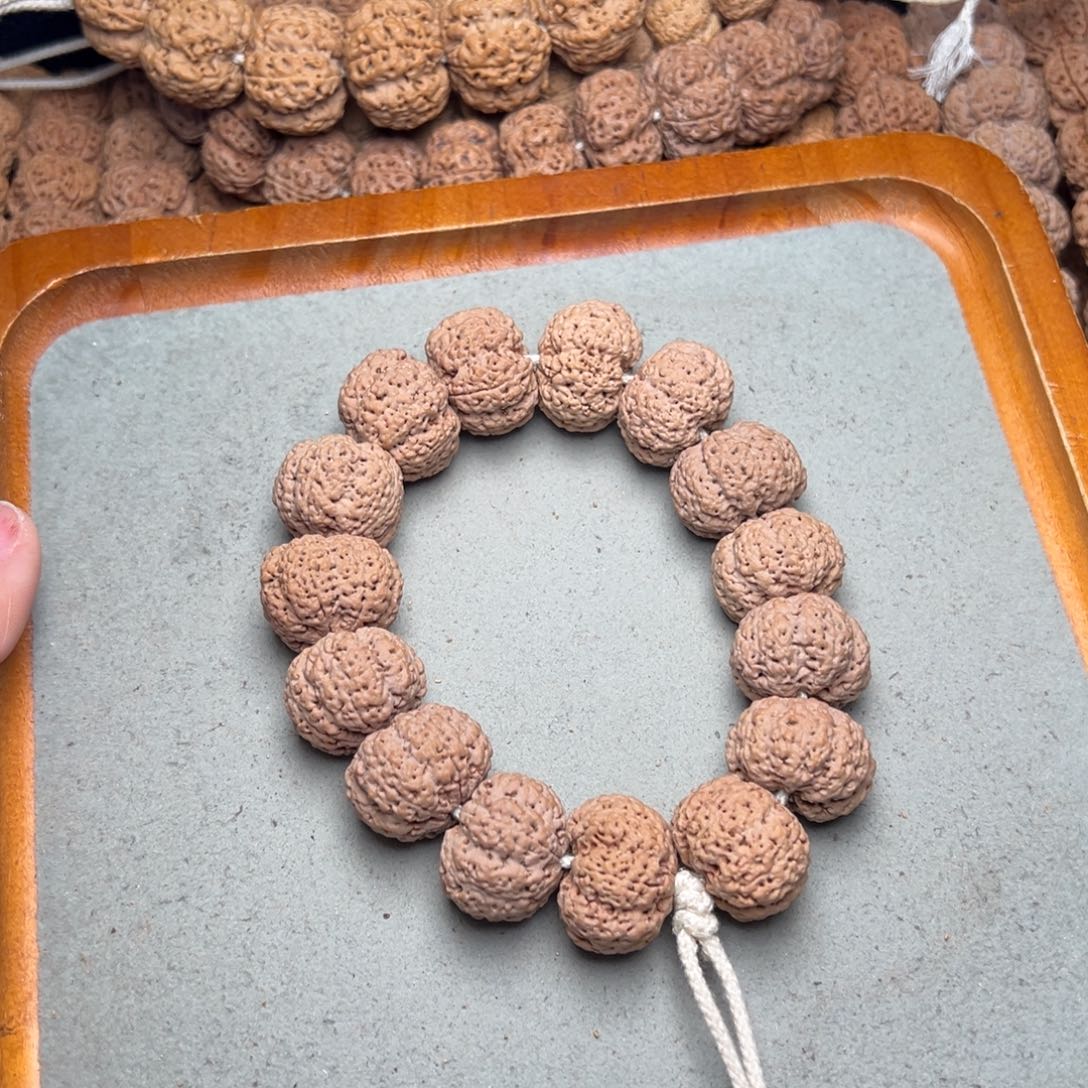 菩提13号金刚菩提菠萝蜜六瓣22+