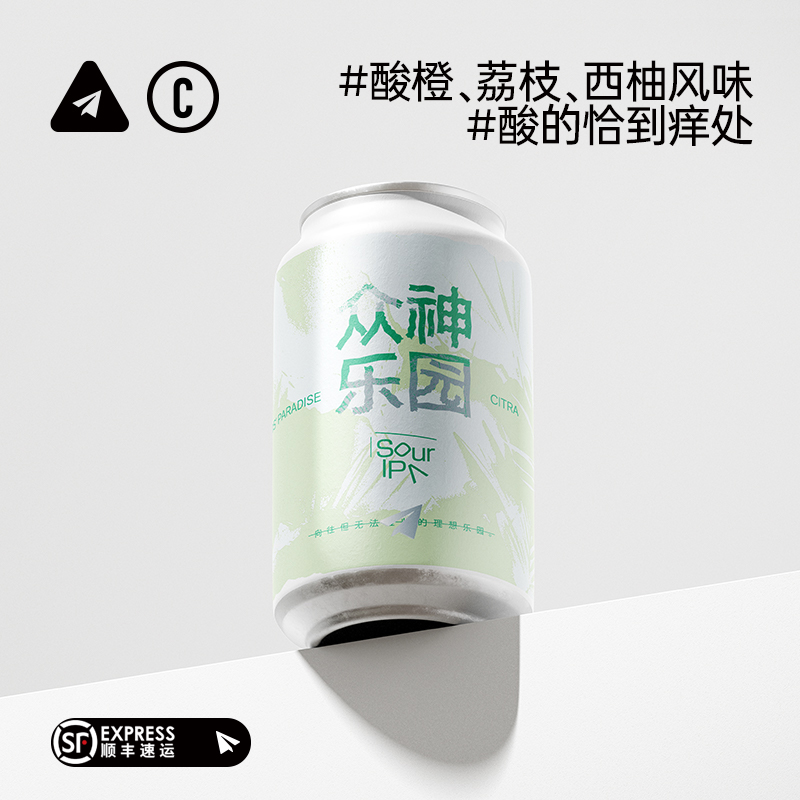 纸飞机酿造 C#3酸IPA*6罐装 国产精酿啤酒酸啤高分西柚风味鲜啤