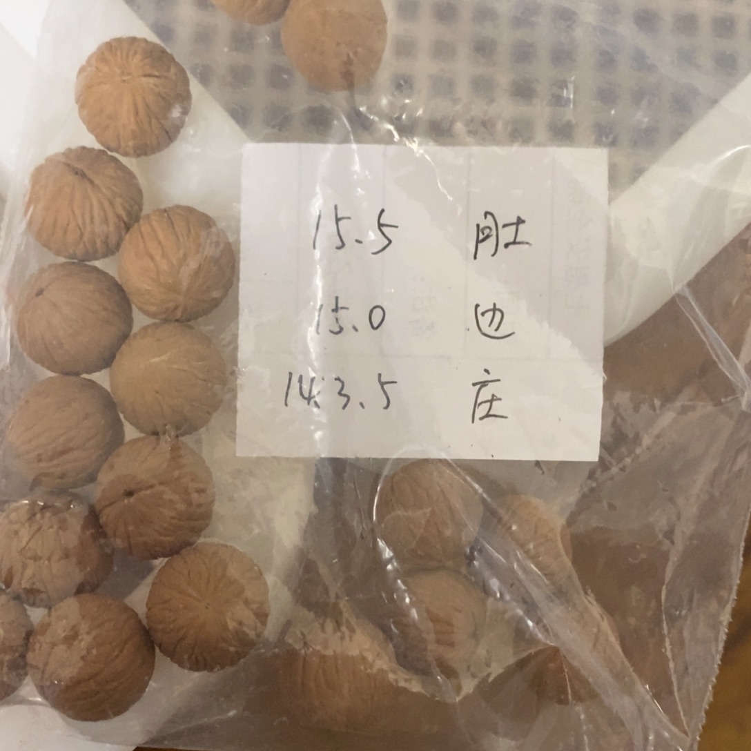 猴头核桃吊坠小*星猴头