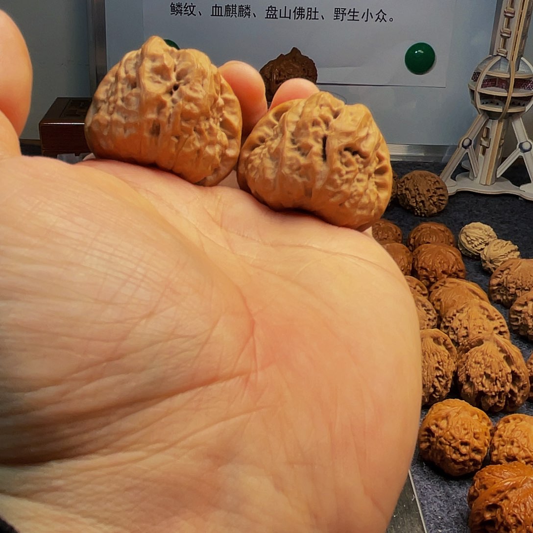 猴头核桃把件蛤蟆头40尺