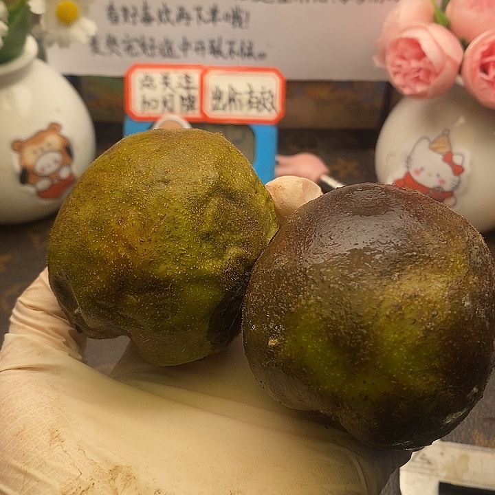 广***温青皮代开不退不换