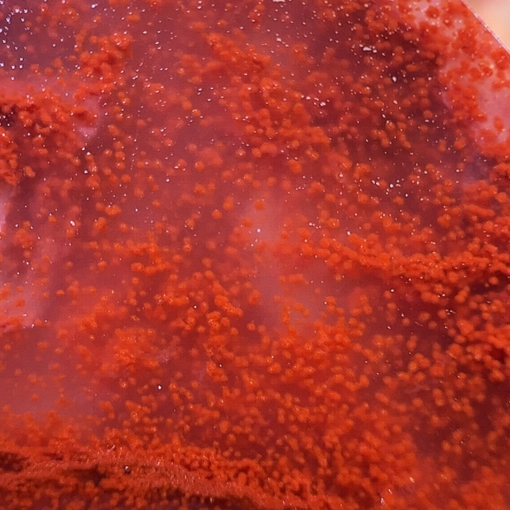 舒***人印石寿山石水冻朱砂