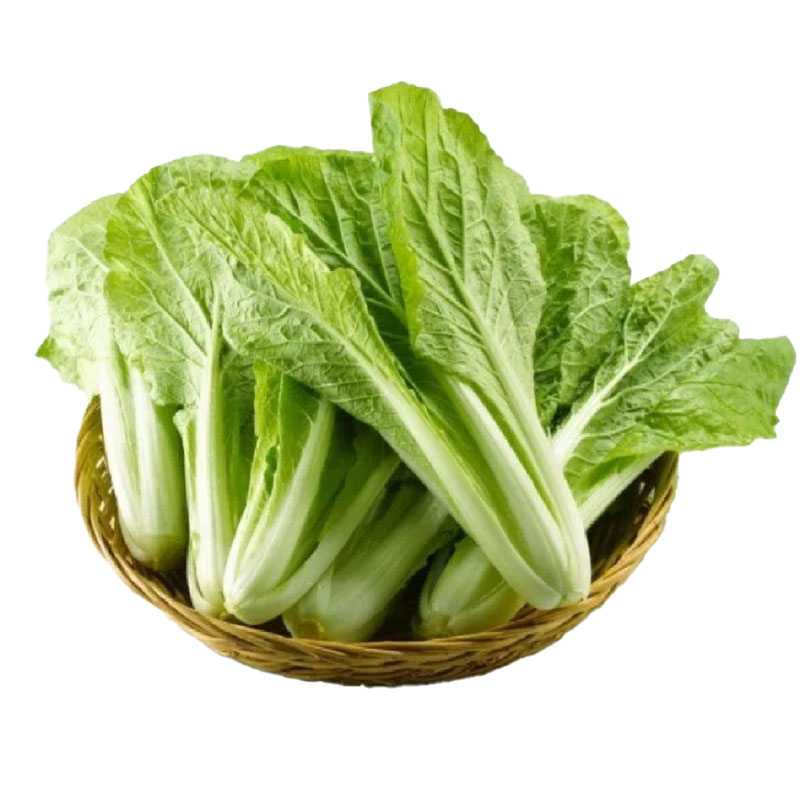 小白菜约350g（精品）