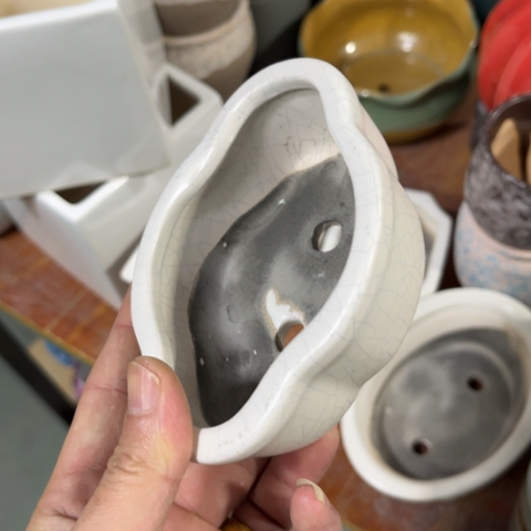 ［所有订单凑满15包邮］