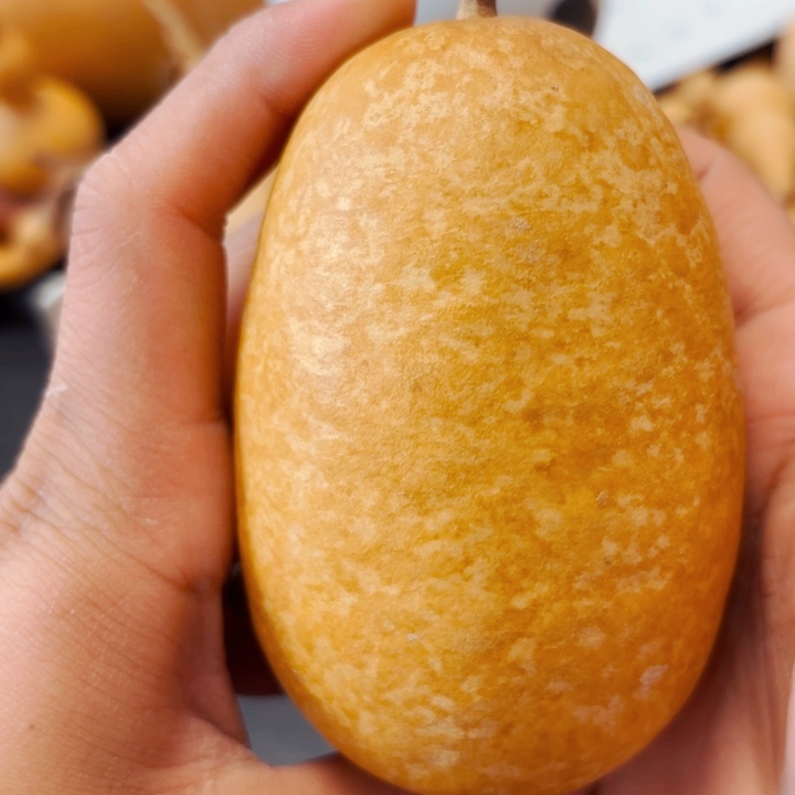 ✨***弟888888888888888888888